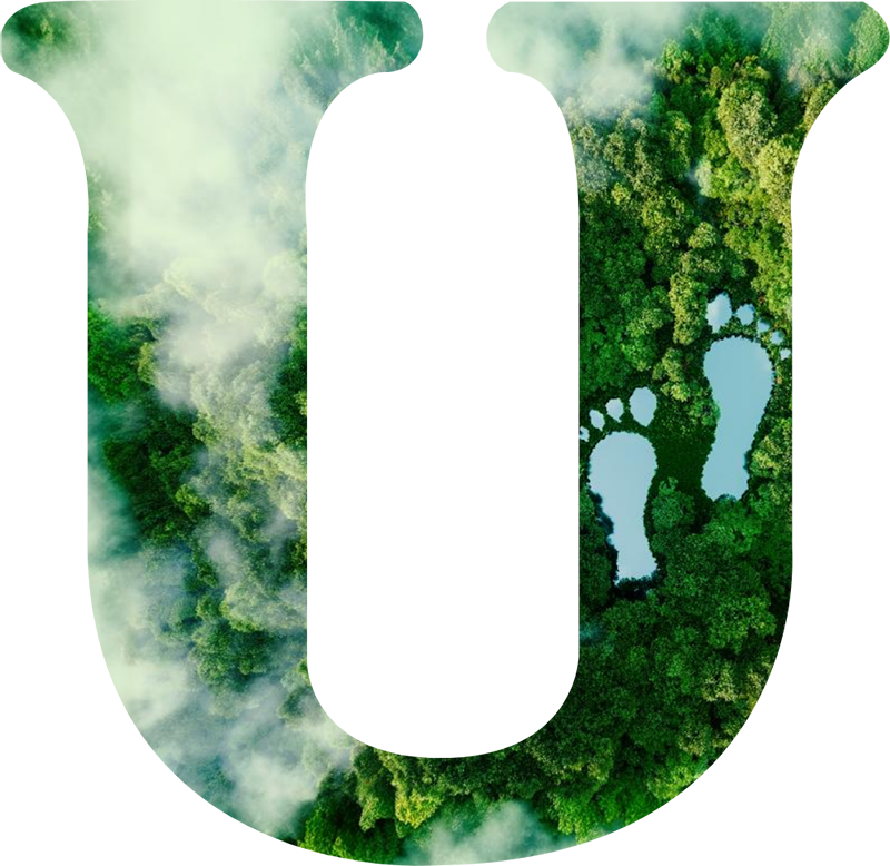 Carbon Footprint Calculator