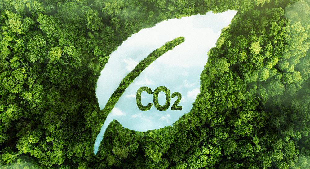 CO2 Reduction